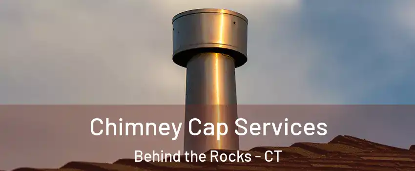 Chimney Cap Services Behind the Rocks - CT
