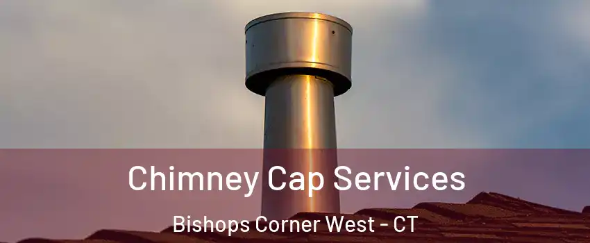 Chimney Cap Services Bishops Corner West - CT