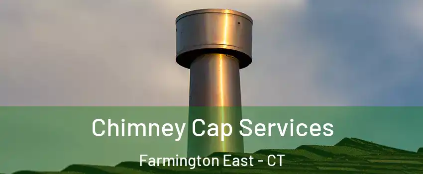 Chimney Cap Services Farmington East - CT