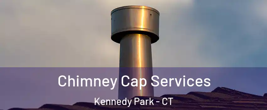Chimney Cap Services Kennedy Park - CT