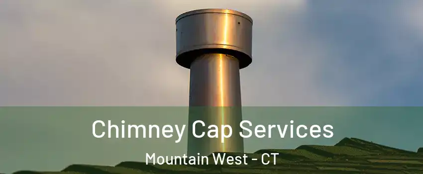 Chimney Cap Services Mountain West - CT