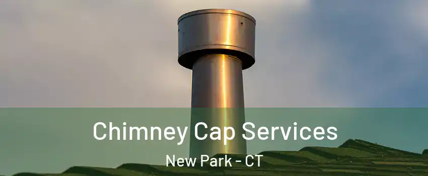 Chimney Cap Services New Park - CT