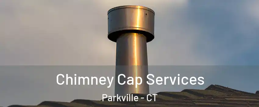 Chimney Cap Services Parkville - CT