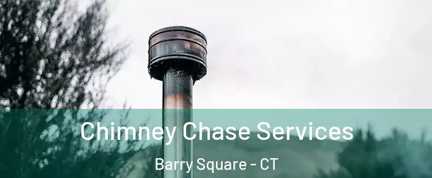 Chimney Chase Services Barry Square - CT