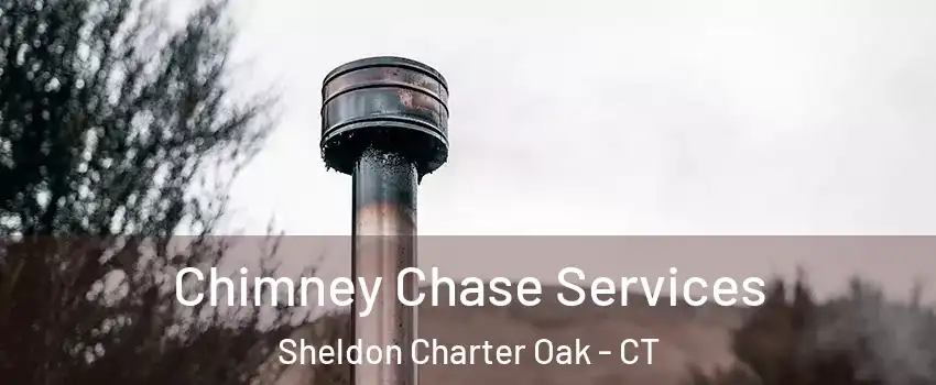 Chimney Chase Services Sheldon Charter Oak - CT