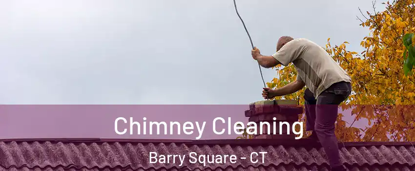 Chimney Cleaning Barry Square - CT