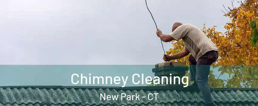 Chimney Cleaning New Park - CT