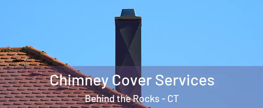 Chimney Cover Services Behind the Rocks - CT