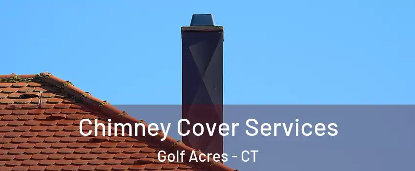 Chimney Cover Services Golf Acres - CT