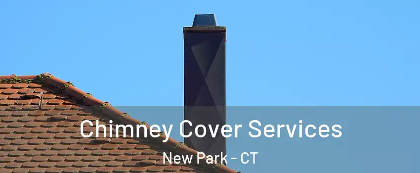 Chimney Cover Services New Park - CT