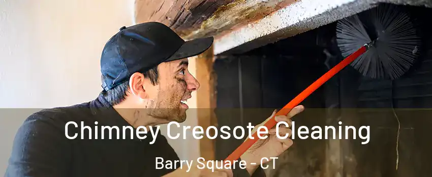 Chimney Creosote Cleaning Barry Square - CT