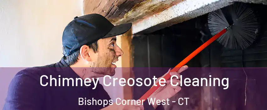 Chimney Creosote Cleaning Bishops Corner West - CT
