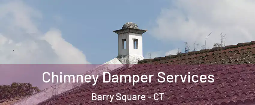 Chimney Damper Services Barry Square - CT
