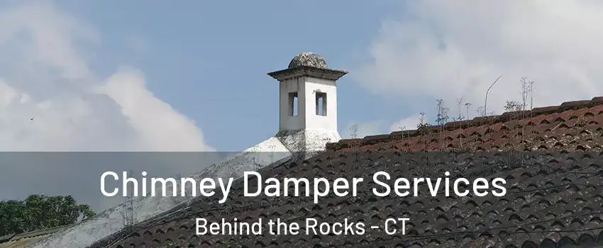 Chimney Damper Services Behind the Rocks - CT
