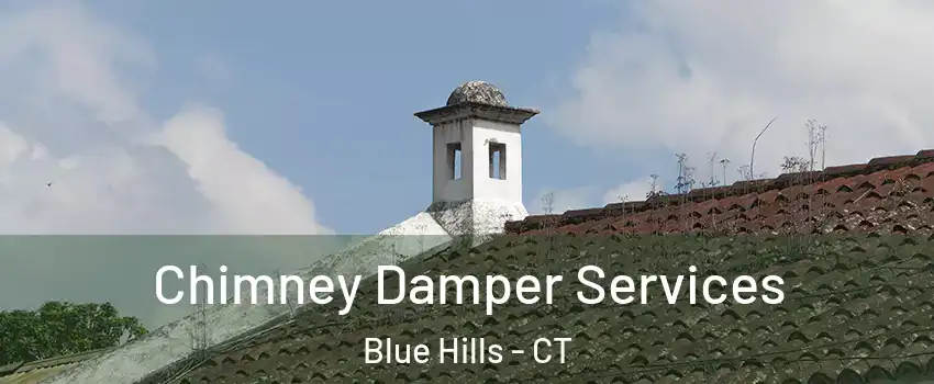 Chimney Damper Services Blue Hills - CT