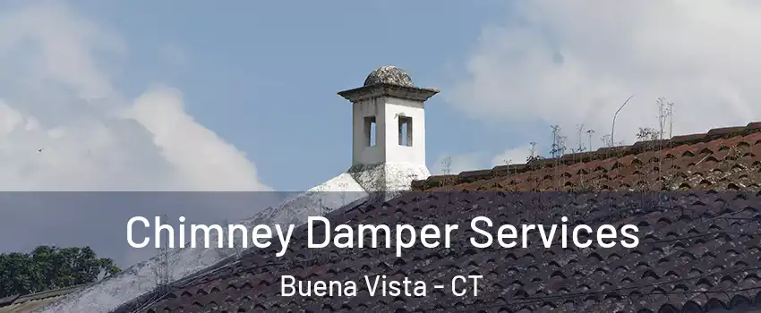 Chimney Damper Services Buena Vista - CT