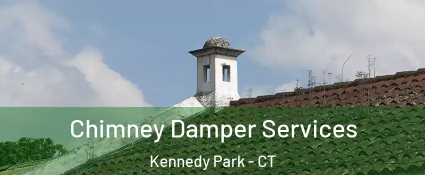 Chimney Damper Services Kennedy Park - CT