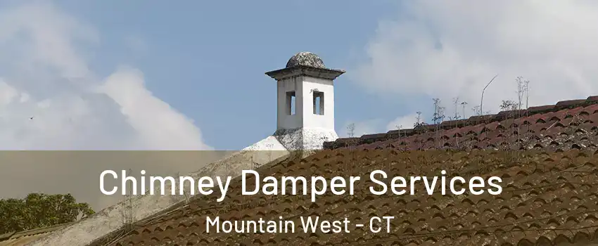 Chimney Damper Services Mountain West - CT