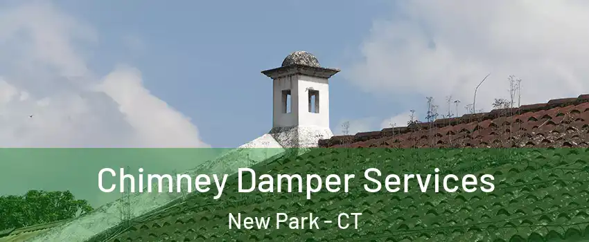 Chimney Damper Services New Park - CT
