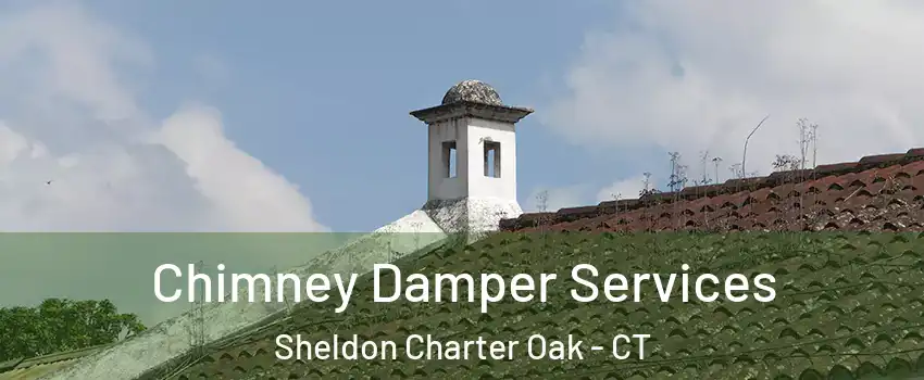 Chimney Damper Services Sheldon Charter Oak - CT