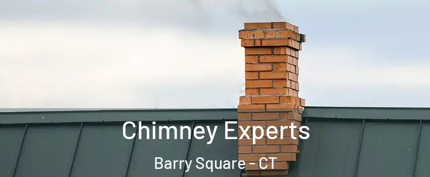 Chimney Experts Barry Square - CT