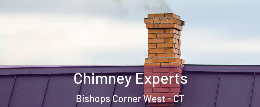 Chimney Experts Bishops Corner West - CT