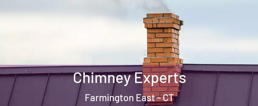 Chimney Experts Farmington East - CT