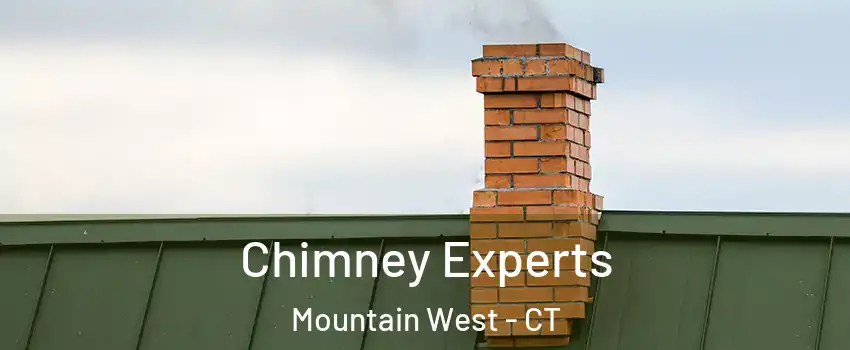 Chimney Experts Mountain West - CT