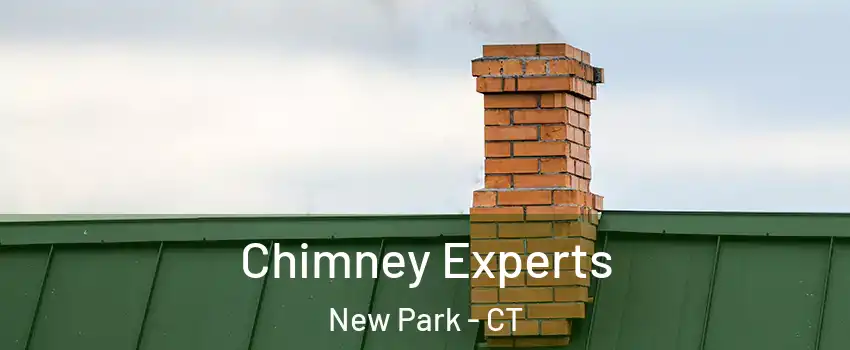 Chimney Experts New Park - CT