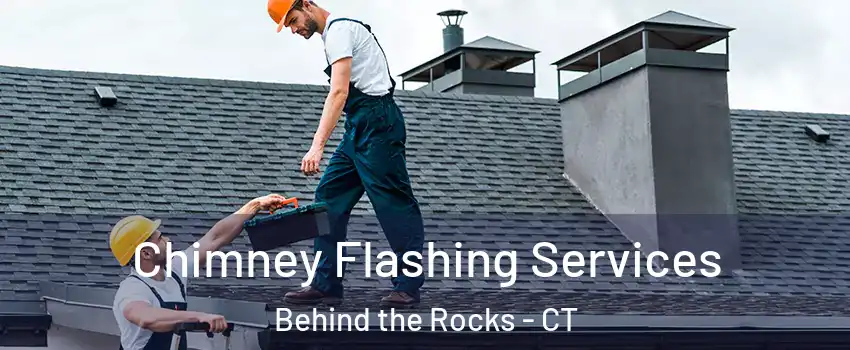 Chimney Flashing Services Behind the Rocks - CT