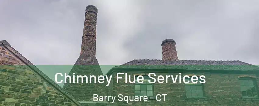 Chimney Flue Services Barry Square - CT