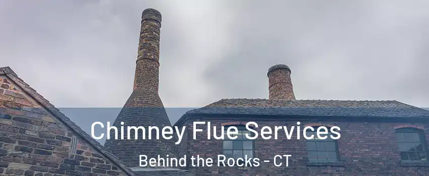 Chimney Flue Services Behind the Rocks - CT