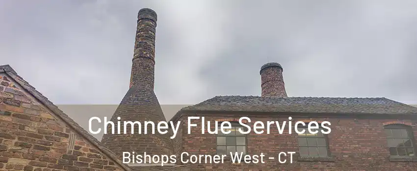 Chimney Flue Services Bishops Corner West - CT