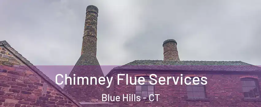Chimney Flue Services Blue Hills - CT