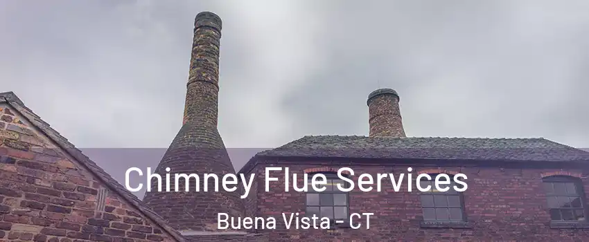Chimney Flue Services Buena Vista - CT