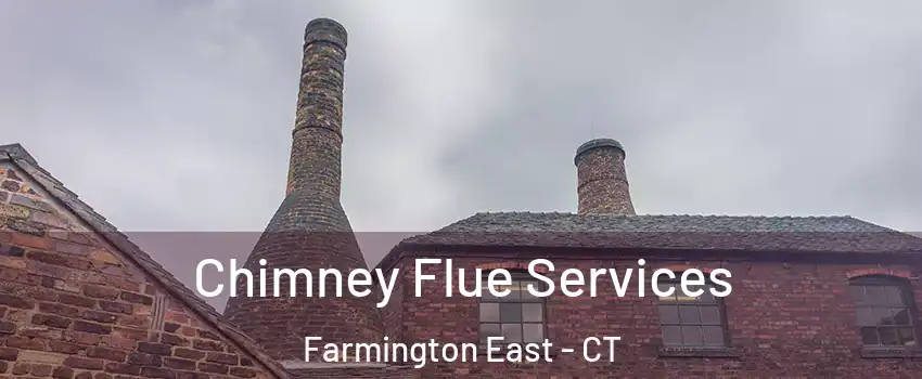 Chimney Flue Services Farmington East - CT