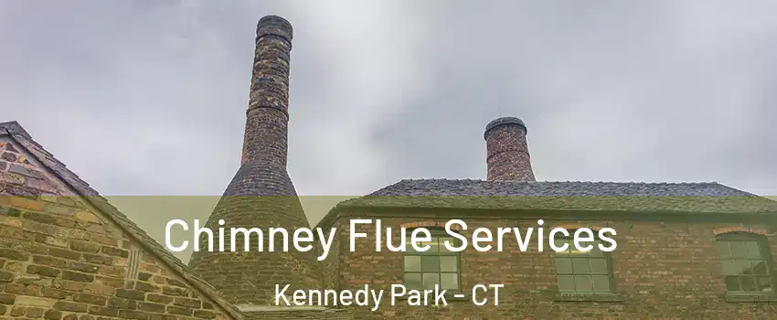 Chimney Flue Services Kennedy Park - CT