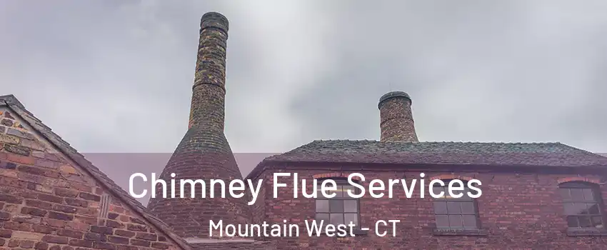 Chimney Flue Services Mountain West - CT
