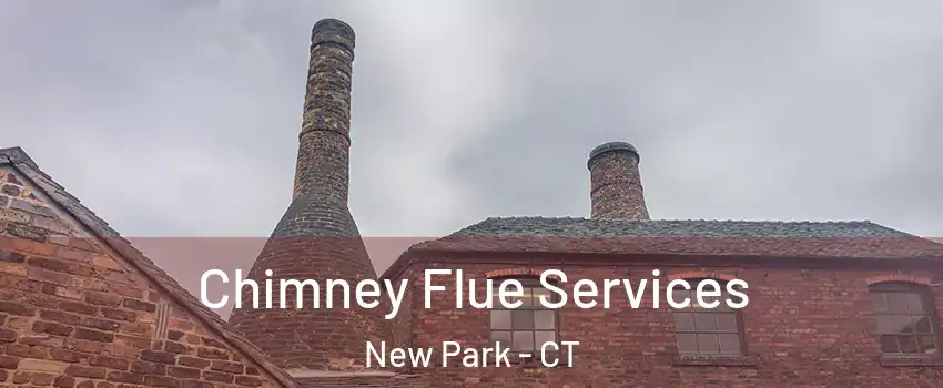 Chimney Flue Services New Park - CT