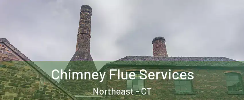 Chimney Flue Services Northeast - CT
