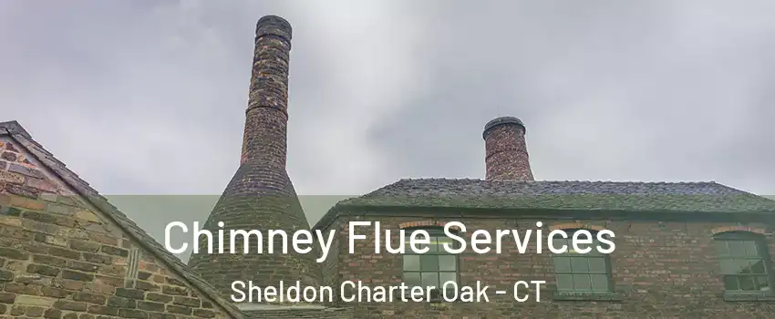 Chimney Flue Services Sheldon Charter Oak - CT