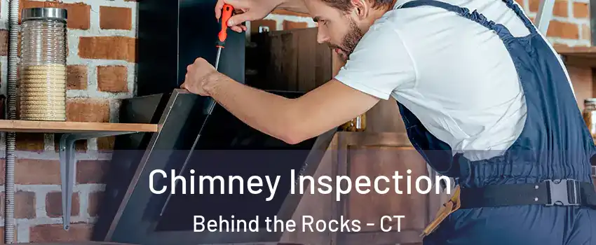 Chimney Inspection Behind the Rocks - CT