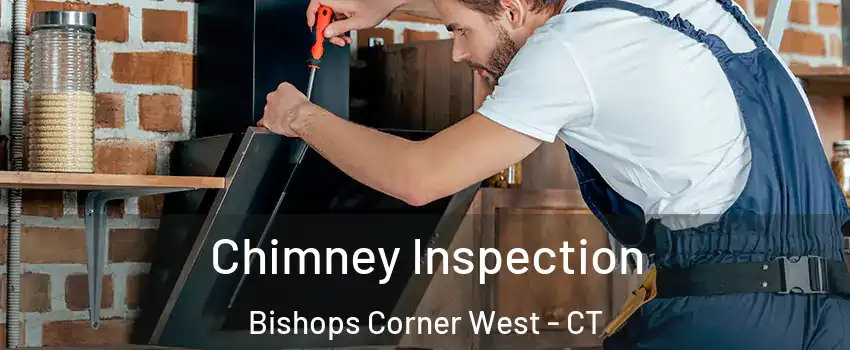 Chimney Inspection Bishops Corner West - CT
