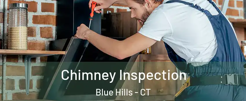 Chimney Inspection Blue Hills - CT