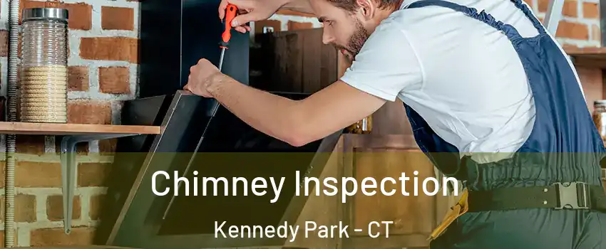 Chimney Inspection Kennedy Park - CT
