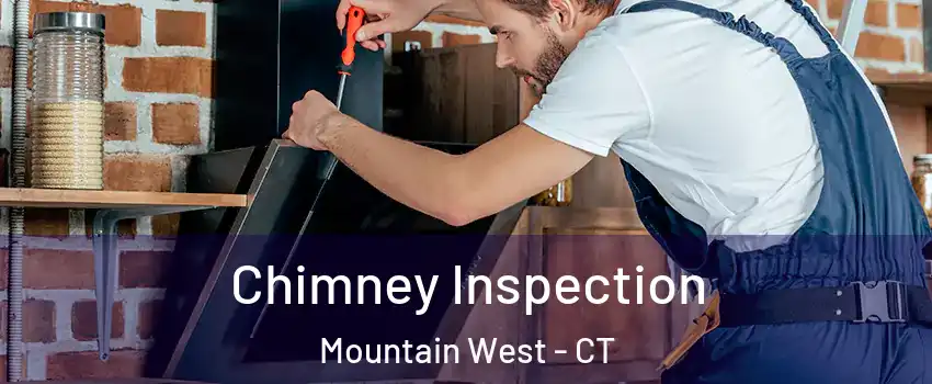 Chimney Inspection Mountain West - CT