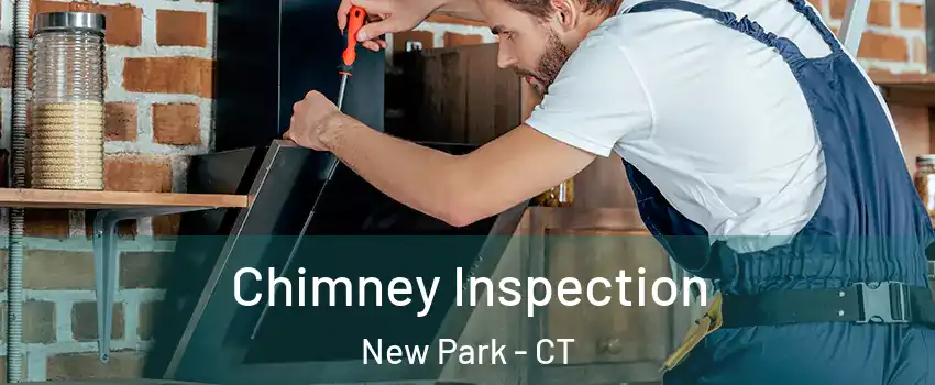 Chimney Inspection New Park - CT