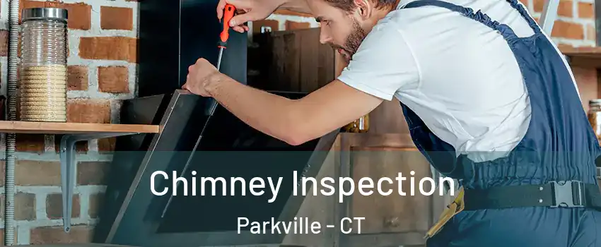 Chimney Inspection Parkville - CT