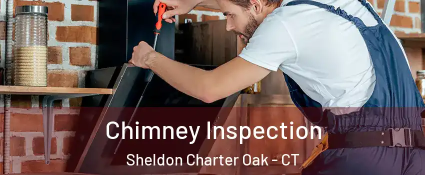 Chimney Inspection Sheldon Charter Oak - CT