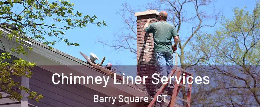 Chimney Liner Services Barry Square - CT